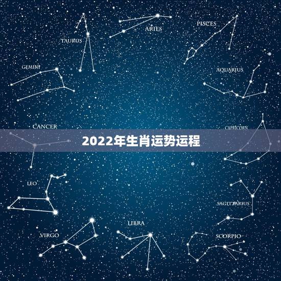 2022年生肖运势运程,生肖狗2022年运势 2022年生肖运势运程,生肖狗2022年运势