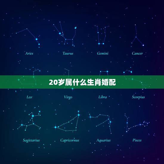 20岁属什么生肖婚配,20岁结婚意味着什么 20岁属什么生肖婚配,20岁结婚意味着什么