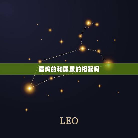 属鸡的和属鼠的相配吗，属鼠跟属鸡的相配