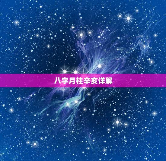 八字月柱辛亥详解,月柱辛亥看财运 八字月柱辛亥详解,月柱辛亥看财运