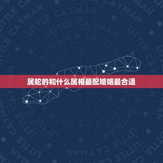属蛇的和什么属相最配婚姻最合适，属蛇的和什么属相最相配 12属相婚配表