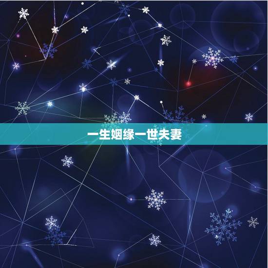 一生姻缘一世夫妻,夫妻姻缘前世一般是种的什么因? 一生姻缘一世夫妻,夫妻姻缘前世一般是种的什么因?