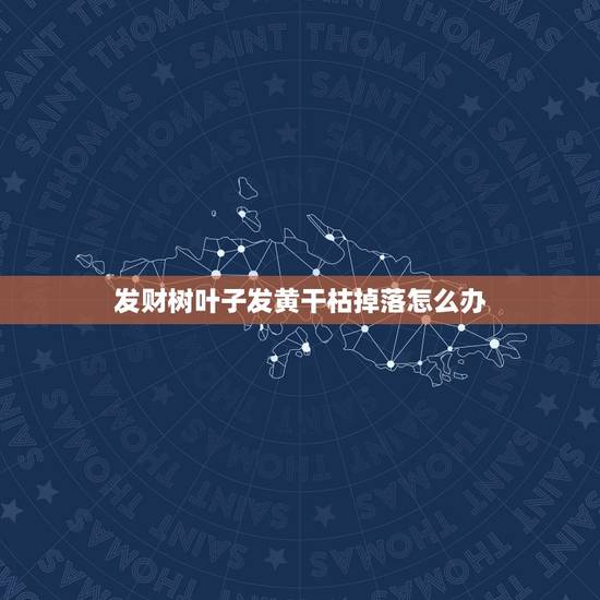 发财树叶子发黄干枯掉落怎么办，发财树叶子全部枯黄掉了怎么办