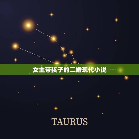 女主带孩子的二婚现代小说，女主带着前夫的孩子二婚的小说