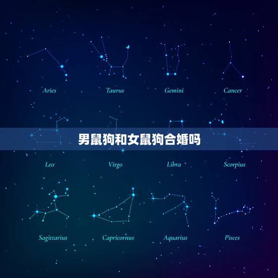 男鼠狗和女鼠狗合婚吗，属狗女和属鼠男相配吗？