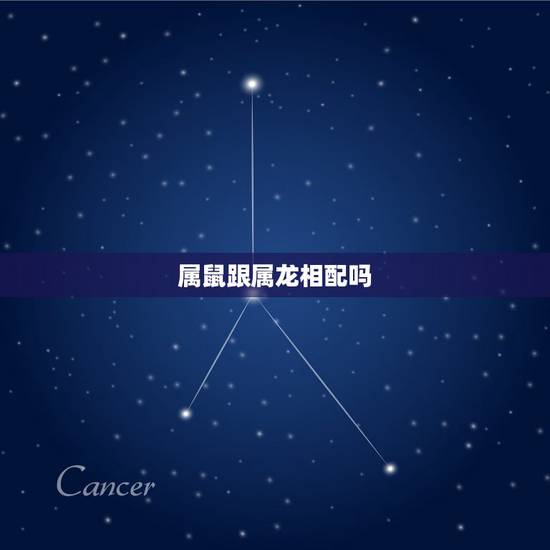 属鼠跟属龙相配吗,属鼠和属龙的人相配吗 属鼠跟属龙相配吗,属鼠和属龙的人相配吗