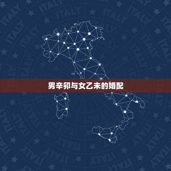 男辛卯与女乙未的婚配，请问您高人合婚 女丁巳年 丙午月 乙未日 庚辰时