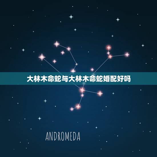 大林木命蛇与大林木命蛇婚配好吗,几层楼最好,属蛇的住几层楼最吉利,属蛇 大林木命蛇与大林木命蛇婚配好吗,几层楼最好,属蛇的住几层楼最吉利,属蛇