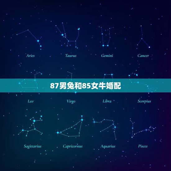 87男兔和85女牛婚配,男属兔87年,女属牛85年 相配吗? 87男兔和85女牛婚配,男属兔87年,女属牛85年 相配吗?