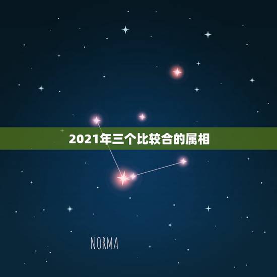 2021年三个比较合的属相，2021年发横财的生肖有哪些？