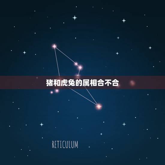 猪和虎兔的属相合不合，属兔的和属猪的合不合？