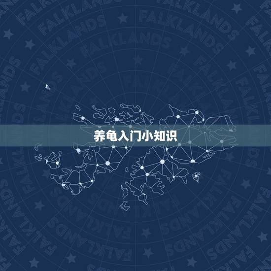 养龟入门小知识,我是个初学者养金钱龟它是只幼龟谁能告诉我一些养龟的知识 养龟入门小知识,我是个初学者养金钱龟它是只幼龟谁能告诉我一些养龟的知识