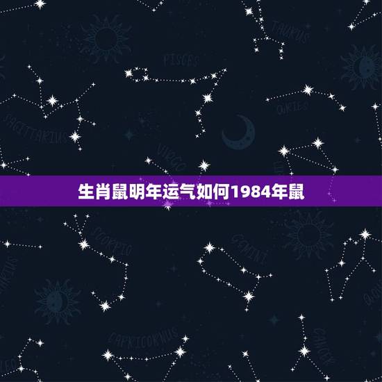 生肖鼠明年运气如何1984年鼠，1984年属老鼠的人，2019年运势如