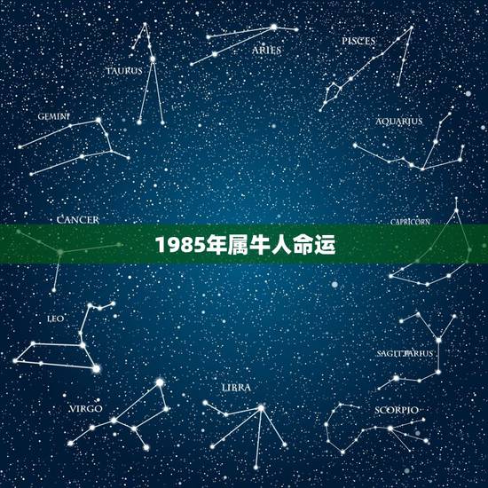 1985年属牛人命运 1985年属牛人是什么命