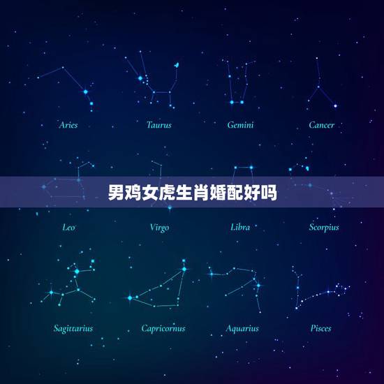 男鸡女虎生肖婚配好吗,男鸡女虎属相和吗 男鸡女虎生肖婚配好吗,男鸡女虎属相和吗