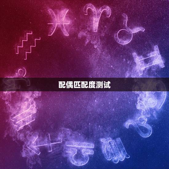 配偶匹配度测试,cp匹配度测试 配偶匹配度测试,cp匹配度测试
