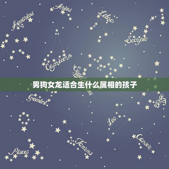 男狗女龙适合生什么属相的孩子，男属蛇，女属狗，生什么属相的宝宝好