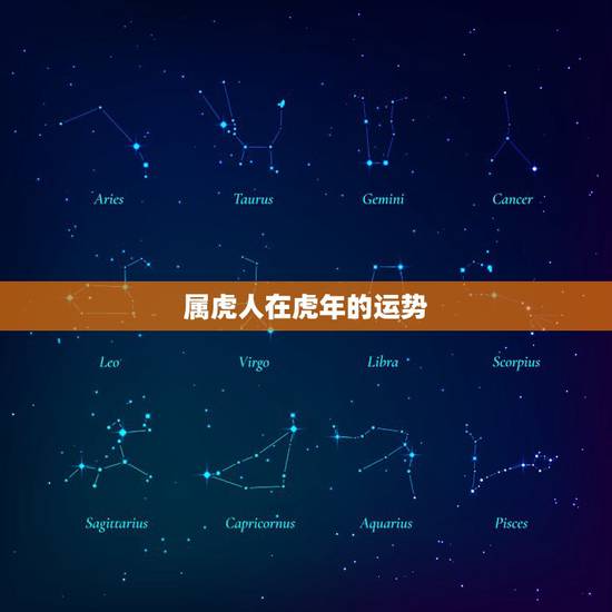 属虎人在虎年的运势,属虎个人能力超强 属虎人在虎年的运势,属虎个人能力超强