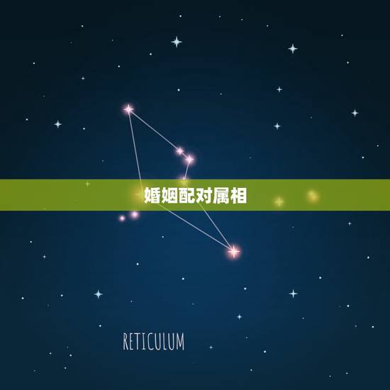 婚姻配对属相,十二生肖婚姻配对男蛇女狗 婚姻配对属相,十二生肖婚姻配对男蛇女狗