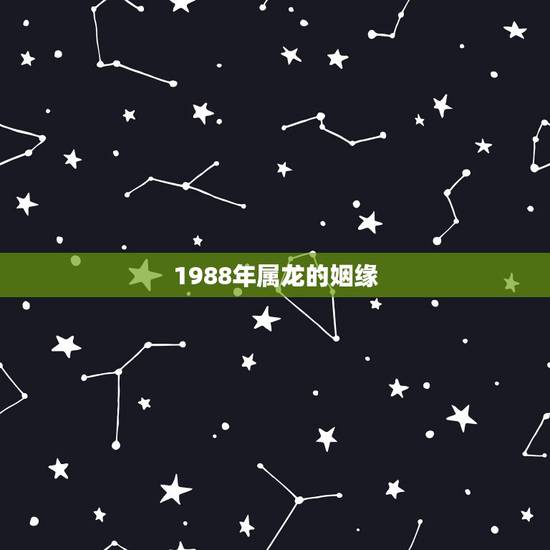 1988年属龙的姻缘,1984女鼠和1988男龙 1988年属龙的姻缘,1984女鼠和1988男龙