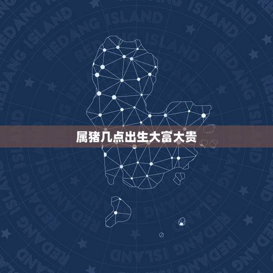 属猪几点出生大富大贵，属猪哪个时辰出生大富大贵