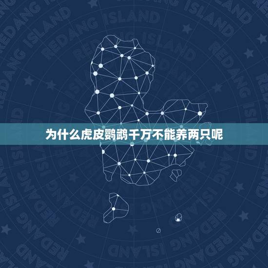 为什么虎皮鹦鹉千万不能养两只呢，我想养虎皮鹦鹉，不繁殖可以养两只吗？