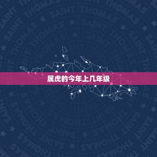 属虎的今年上几年级，老虎年龄与人类对照表