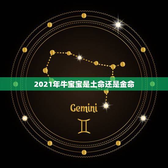 2021年牛宝宝是土命还是金命，2021年是金牛，纳音为壁上土，这一年
