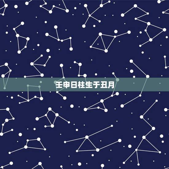 壬申日柱生于丑月,壬申日生于各时 壬申日柱生于丑月,壬申日生于各时