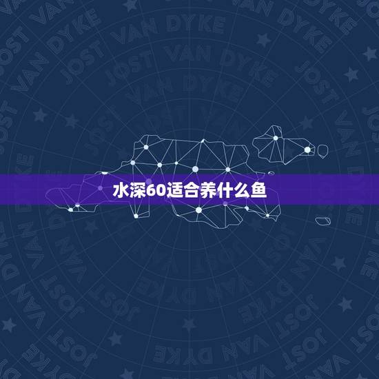 水深60适合养什么鱼，饲养金鱼水深多少合适