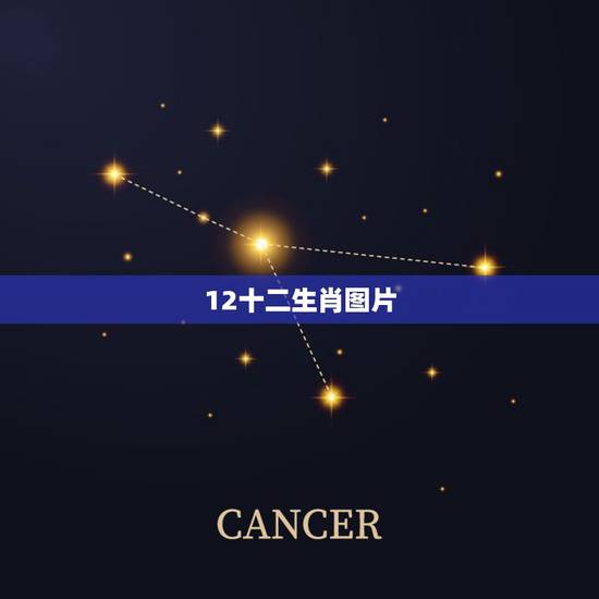 12十二生肖图片,请问谁有和这张图片差不多的图片,名字叫“十二生肖” 12十二生肖图片,请问谁有和这张图片差不多的图片,名字叫“十二生肖”