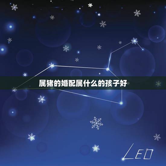 属猪的婚配属什么的孩子好，十二生肖属猪配什么属相好