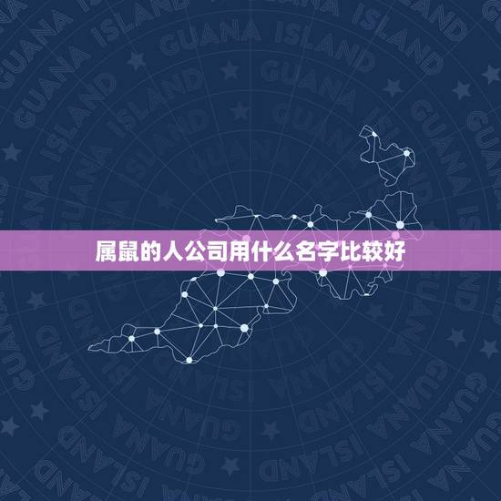 属鼠的人公司用什么名字比较好,属鼠取什么公司名字好 属鼠的人公司用什么名字比较好,属鼠取什么公司名字好