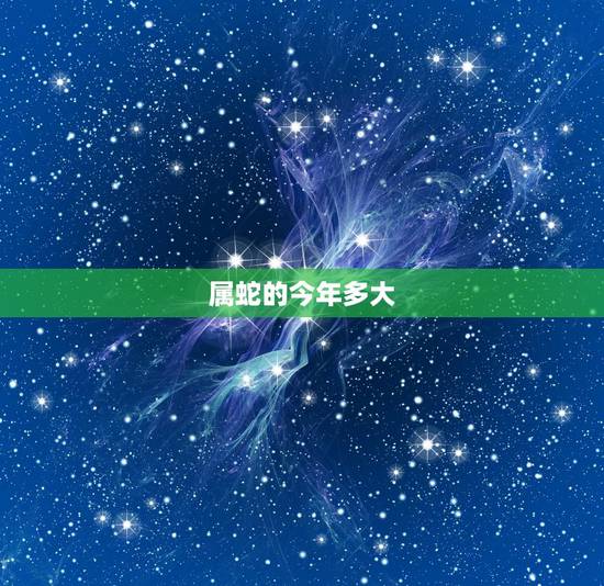 属蛇的今年多大 1977属蛇44-45岁桃花运