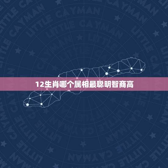 12生肖哪个属相最聪明智商高,十二生肖谁最聪明智慧 12生肖哪个属相最聪明智商高,十二生肖谁最聪明智慧