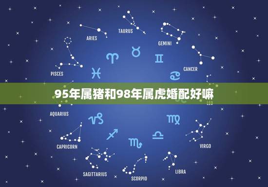 95年属猪和98年属虎婚配好嘛，1995年属猪的和1998年属虎的般配