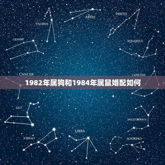 1982年属狗和1984年属鼠婚配如何,1982年男属狗跟1984年女 1982年属狗和1984年属鼠婚配如何,1982年男属狗跟1984年女