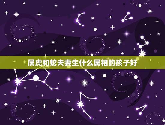 属虎和蛇夫妻生什么属相的孩子好，属蛇和属虎的生什么属相