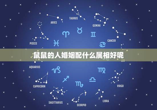 鼠鼠的人婚姻配什么属相好呢，属鼠男配什么属相的才合适呢