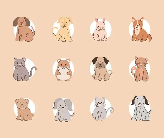 12生肖最好的属相排名(哪个属相排名第一) 12生肖最好的属相排名(哪个属相排名第一)