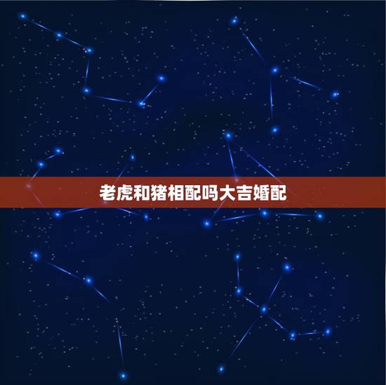 老虎和猪相配吗大吉婚配，男猪女虎相配的姻缘好吗
