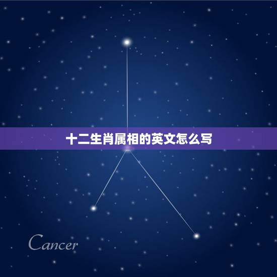 十二生肖属相的英文怎么写,十二生肖英语作文 十二生肖属相的英文怎么写,十二生肖英语作文