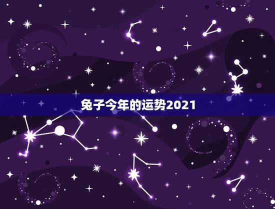 兔子今年的运势2021，兔人2021年全年运程