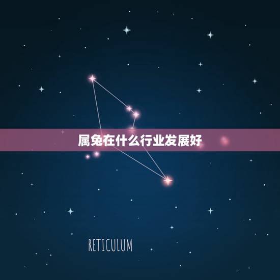 属兔在什么行业发展好，1987属兔适合什么生意