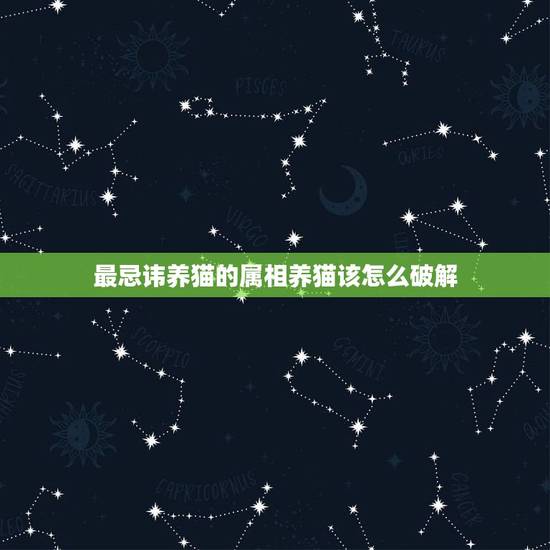 最忌讳养猫的属相养猫该怎么破解，什么属相不能养猫