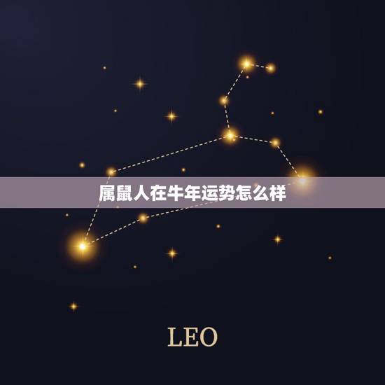 属鼠人在牛年运势怎么样，属鼠的2022年运势怎么样