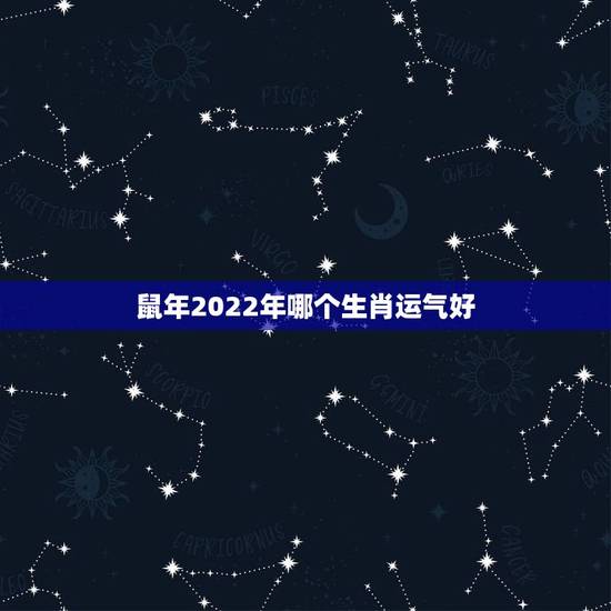 鼠年2022年哪个生肖运气好，1984年鼠2022年运势