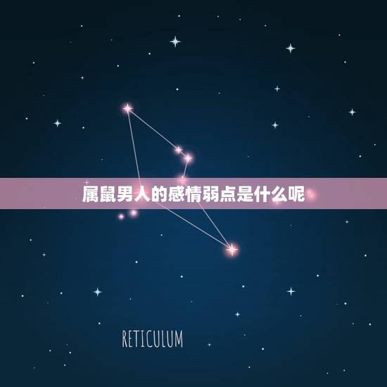 属鼠男人的感情弱点是什么呢，跟男朋友分手了他是属鼠的有什么弱点