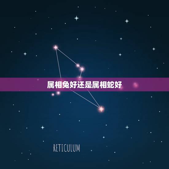 属相兔好还是属相蛇好，兔子和蛇属相说法？