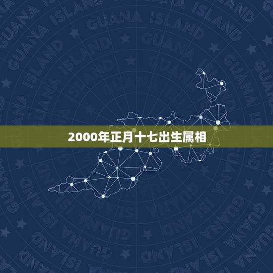 2000年正月十七出生属相，2000年正月17，00点出生的八字是，是